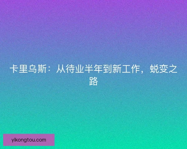 卡里乌斯：从待业半年到新工作，蜕变之路